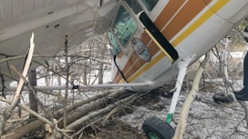 Опубликованы кадры с места падения самолета в Новосибирске
