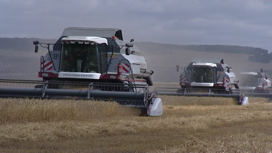 Аграриям из Красноярского края возместили затраты на посевную и сбор урожая