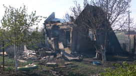 Стали известны подробности пожара в садах под Челябинском