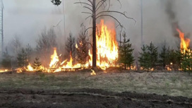 Свердловская область просит помощи в борьбе с лесными пожарами