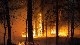 Число погибших при пожарах в Курганской области выросло до шести