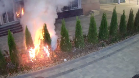 В Волгограде ищут поджигателей растительности в Центральном районе