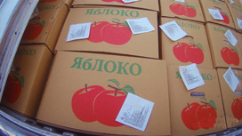 Китайские яблоки отправили обратно поставщику за пробелы в декларации