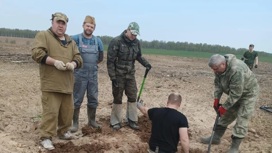 Поисковики нашли останки бойца Красной Армии в Тверской области