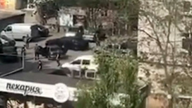 Появились кадры перестрелки нацистов и бандитов в Запорожье