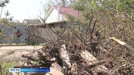 Жители вологодской деревни три года борются со стихийной свалкой