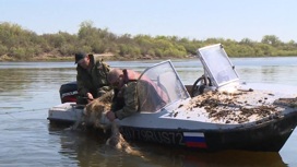 Специалисты Росрыболовства очистили тюменское озеро от незаконных сетей