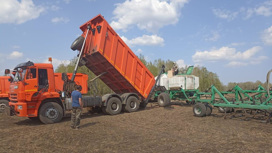 В Томской области зерновыми засеяно более 50% от плана