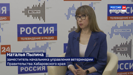 В Хабаровском крае продолжает действовать карантин из-за африканской чумы свиней