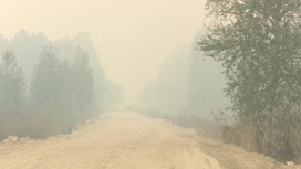 Едкий дым от лесных пожаров продолжает накрывать города Свердловской области