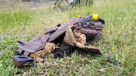 За атакой на Белгородскую область стоят украинские спецслужбы