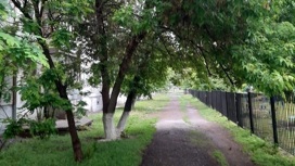 Сегодня в Оренбуржье воздух прогреется до 31 градуса
