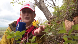 "Подземный" цветок – эндемик региона показался ученым и корреспонденту "Вести. Хабаровск"