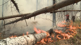 В Свердловской области растет площадь природных пожаров