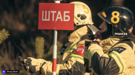 Пять лесных пожаров ликвидировали за сутки в Томской области
