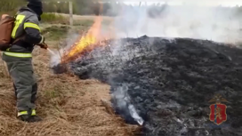 В Енисейском районе два брата сожгли поле в 3 гектара