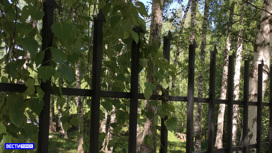 Лось погиб, пытаясь перепрыгнуть забор школы в Северске