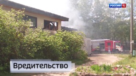 Эфир от 29.05.2023 (14:30)