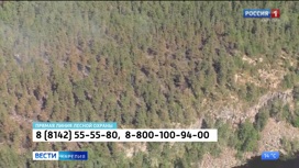 Четыре лесных пожара произошли в лесах Карелии в эти выходные