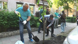 Озеленение исторического центра. В Калининграде на улице Пугачева высадили более 20 деревьев