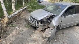 Шмель в салоне автомобиля спровоцировал ДТП в Челябинской области
