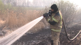 Девять природных пожаров действуют в Тюменской области