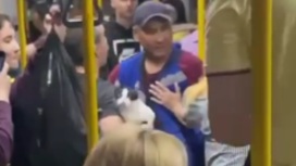 Драка в автобусе с участием кондуктора, пассажира и кота попала на видео