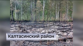 На территории Калтасинского района Башкирии локализовали лесной пожар