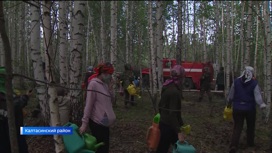 В Башкирии сотни сельчан присоединились к тушению масштабных природных пожаров: сюжет "Вестей"