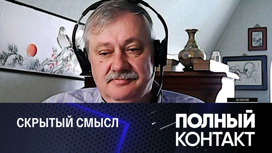 Евстафьев объяснил дикую ненависть врага к Шебекину