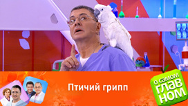 Птичий грипп и другие болезни птиц
