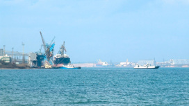 Россия ограничила проход судов в порт Южный из-за аммиака
