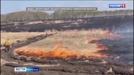Из Тюменской области вернулись карельские десантники-пожарные