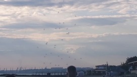 Работу систему ПВО в Бердянске сняли на видео