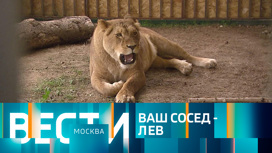 Эфир от 06.06.2023 (21:05)