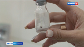 В Хабаровском крае зафиксирован первый случай подозрения на клещевой энцефалит