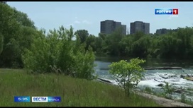Курские эковолонтеры собрали около 450 мешков мусора вдоль водоохранной зоны реки Сейм