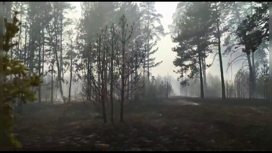 В окрестностях Минусинска пожарные края потушили крупный пожар