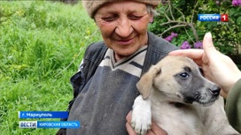 Кировчане помогли бабушке Нине из Мариуполя, приютившей 70 собак