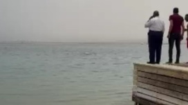 В Хургаде акула растерзала российского туриста недалеко от берега