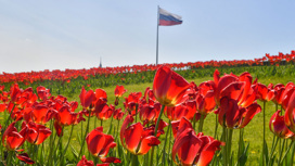 В День России в Москве пройдет больше ста мероприятий