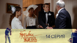 Серия 14
