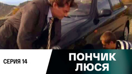Серия 14