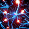 Лазер, созданный командой французских учёных, похож в некоторой степени на нейроны мозга 