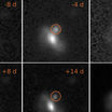 Серия фото показывает развитие вспышки во времени (в правом верхнем углу указано количество дней).