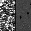 Астероид 2019 LD2 на снимках, сделанных телескопом ATLAS.