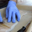 Учёные честно попытались создать нож из замороженных фекалий.
