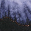 Лесные пожары в России: в восьми регионах действует режим ЧС