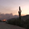 Лесные пожары в Турции: огонь подошел к электростанции Кемера
