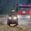Лесной пожар в Рязанской области удалось локализовать